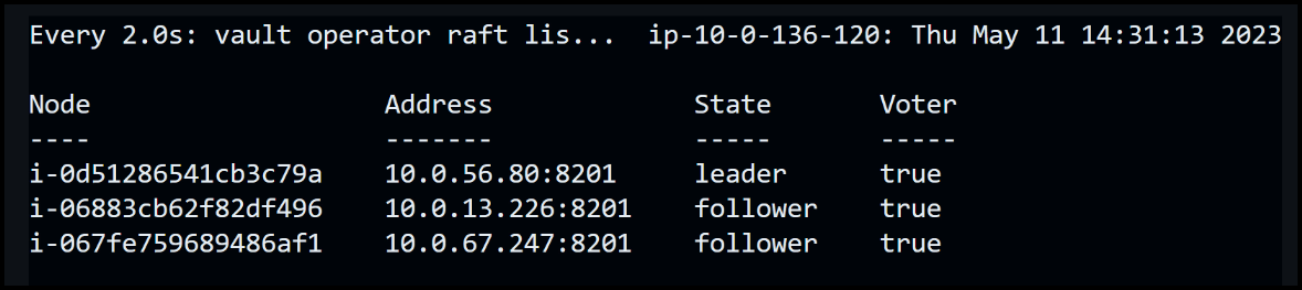 Vault's Raft final state