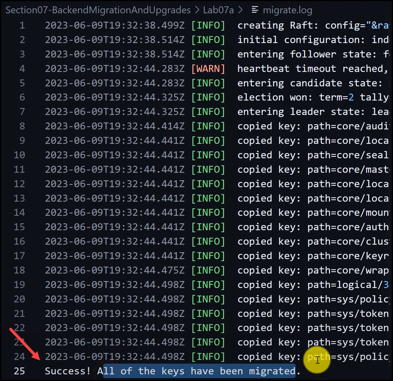 Output of the migrate.log file