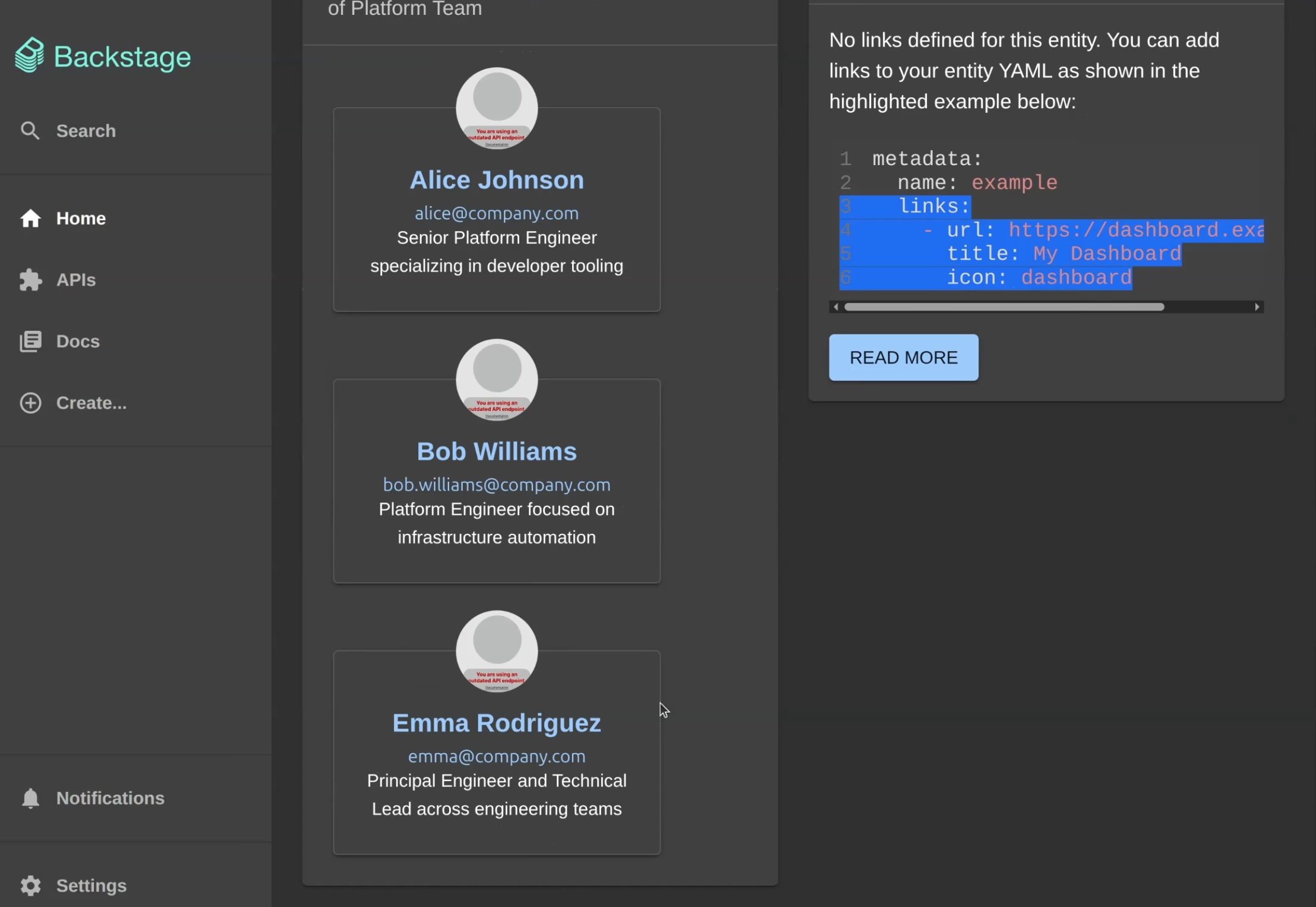 Members of the Platform Team