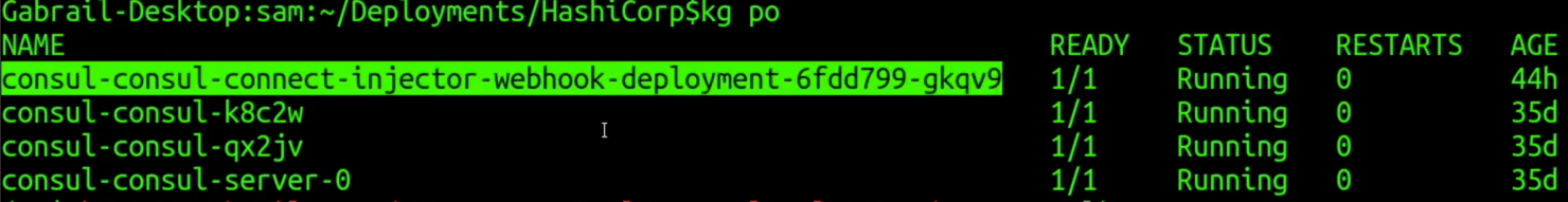 Consul Connect Injector Webhook