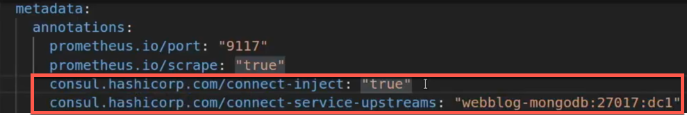 Python Flask App K8s Annotations for the Consul Injector
