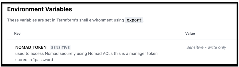 Terraform Environment Variables to Access Nomad