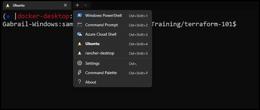 The Windows Terminal