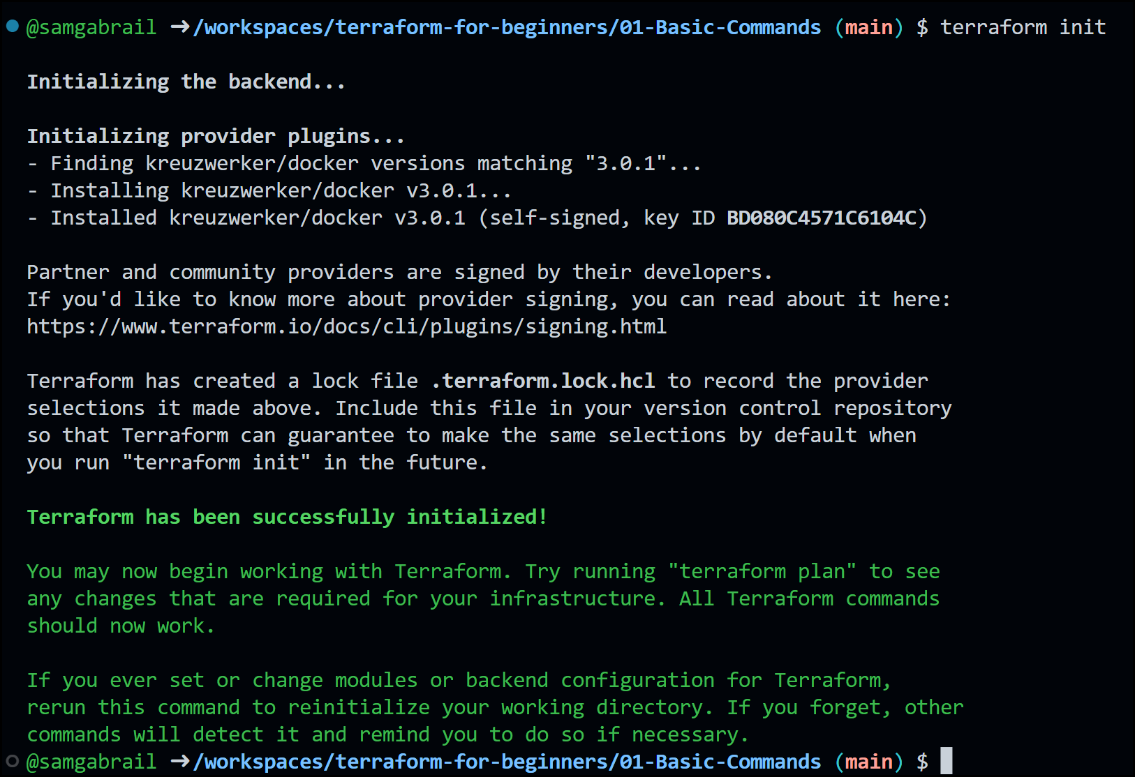 Terraform Init Output
