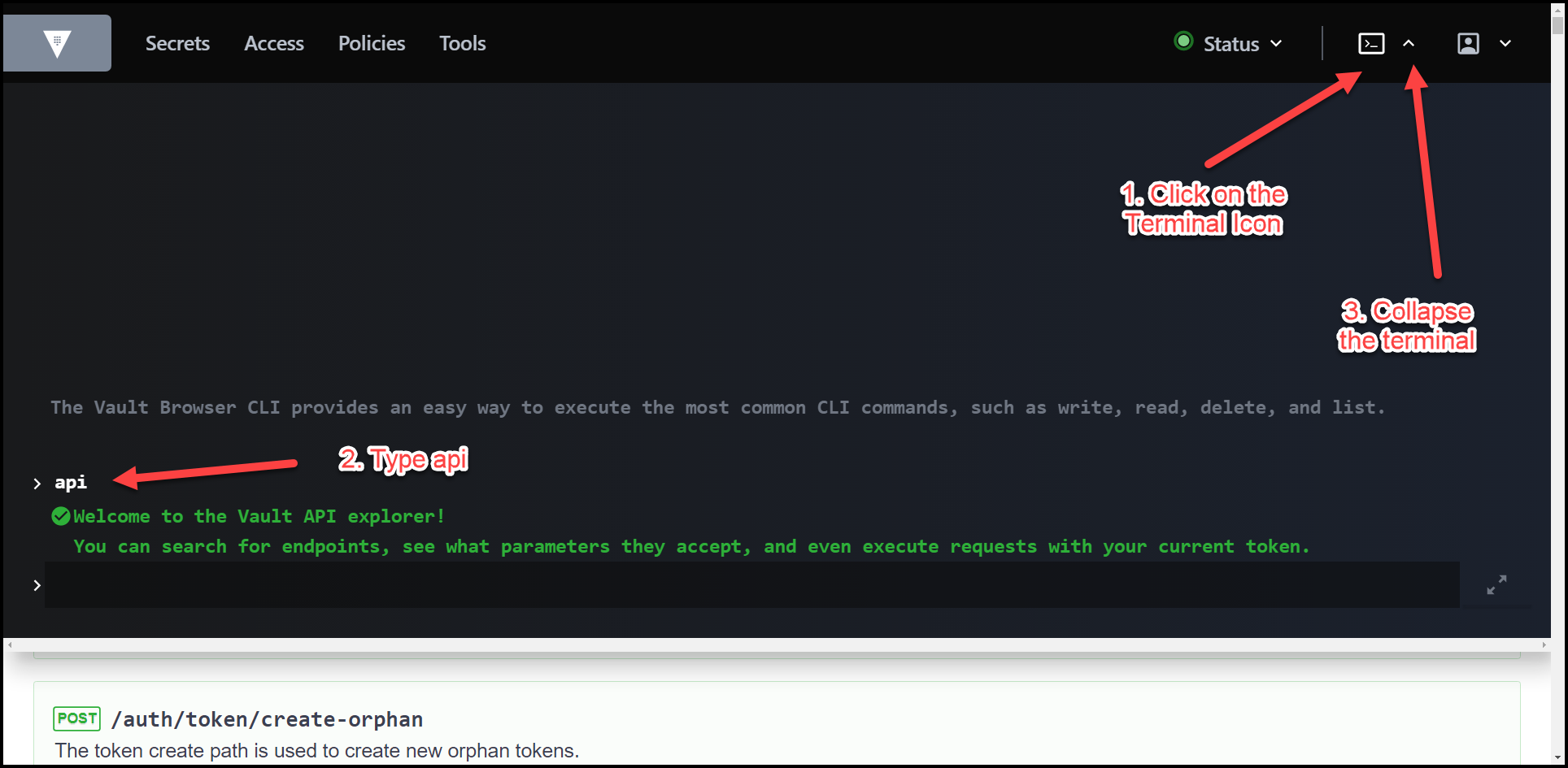 How to access the Vault API Explorer